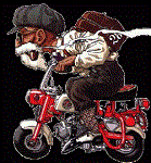 Avatar du membre