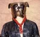 Avatar du membre
