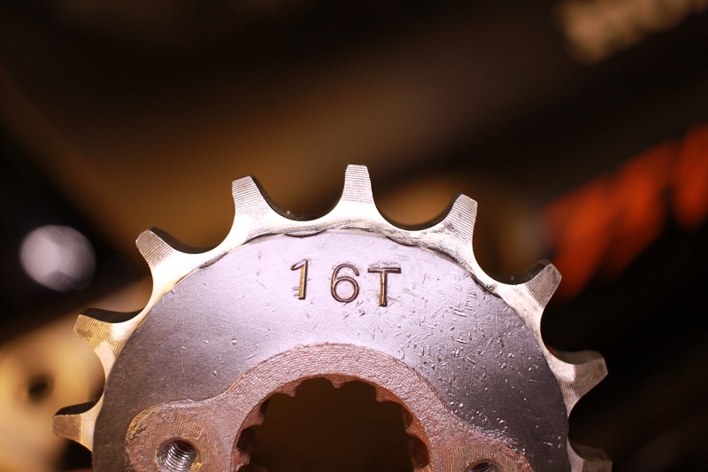 20170421 Pignon avant.jpg