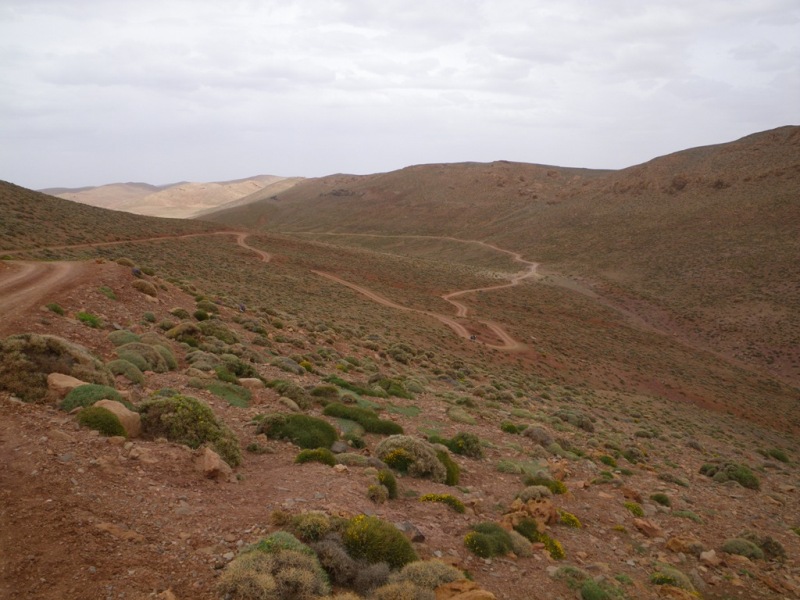 P179.JPG