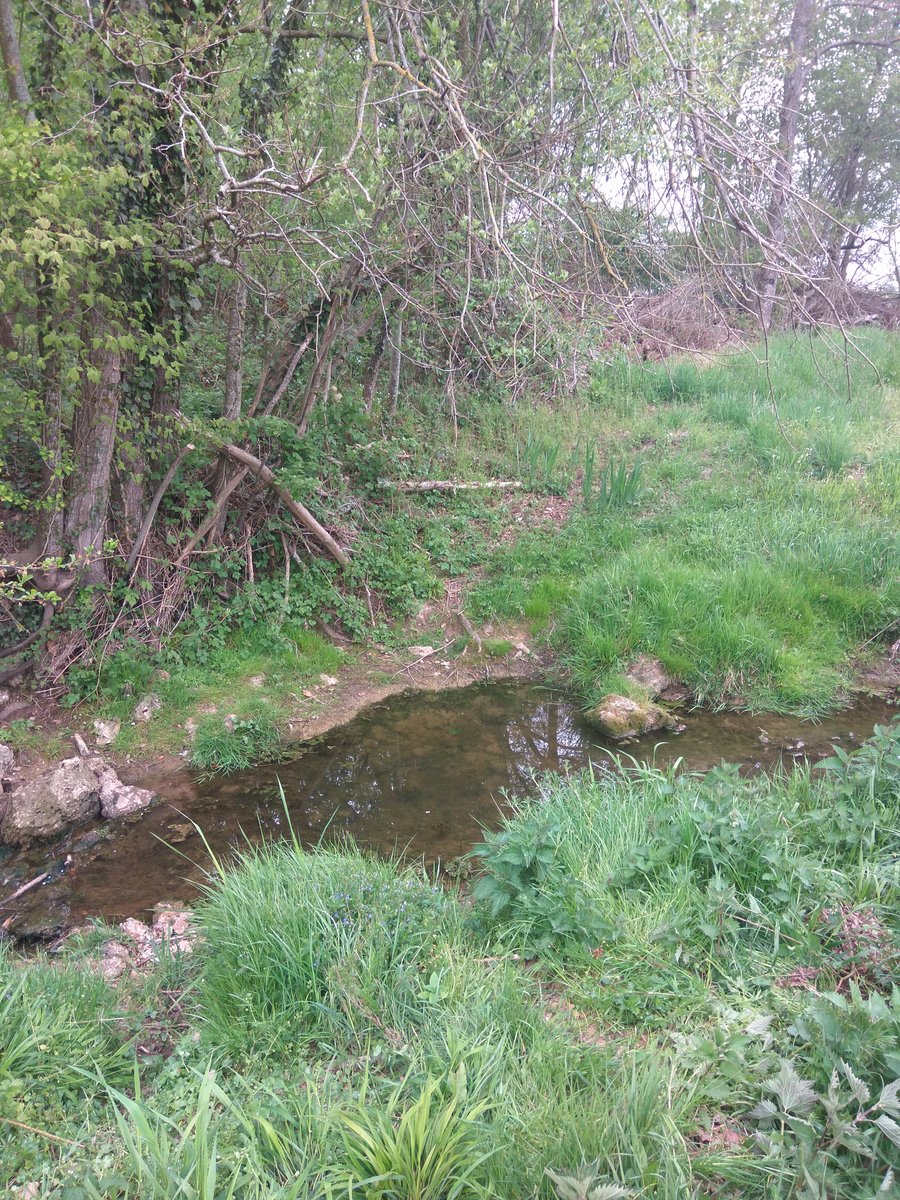 IMG_20170422_175804.jpg