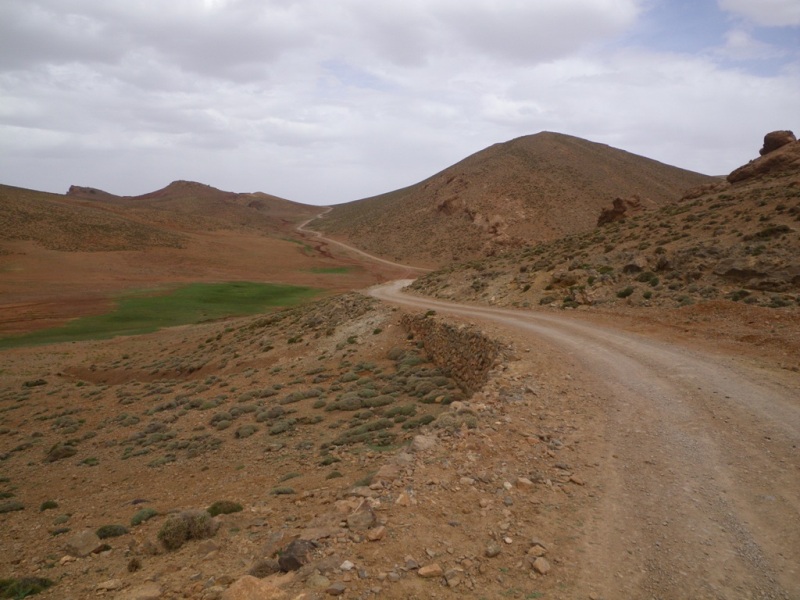 P181.JPG