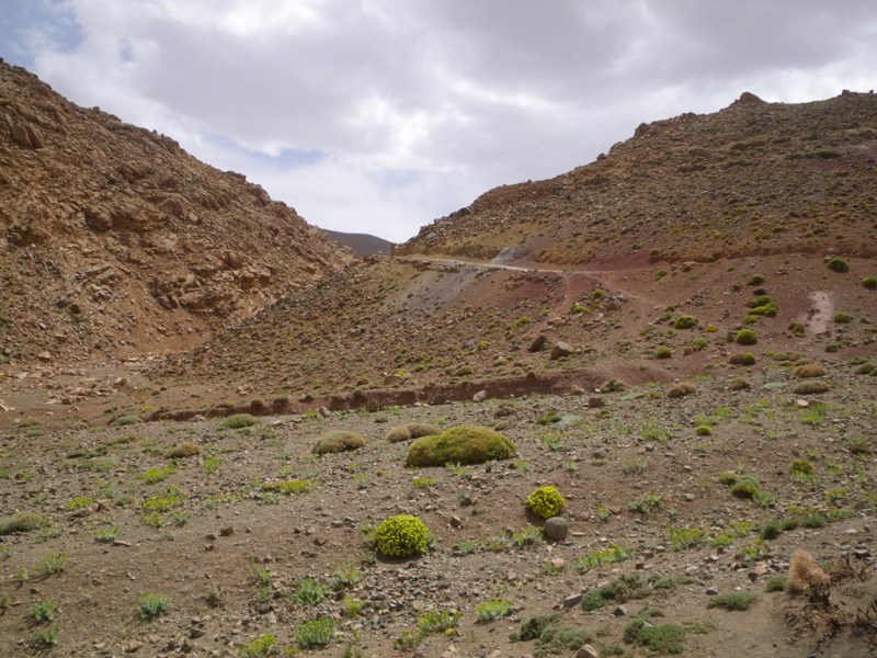 P183.JPG