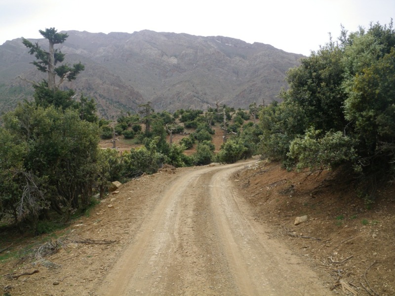 P187.JPG