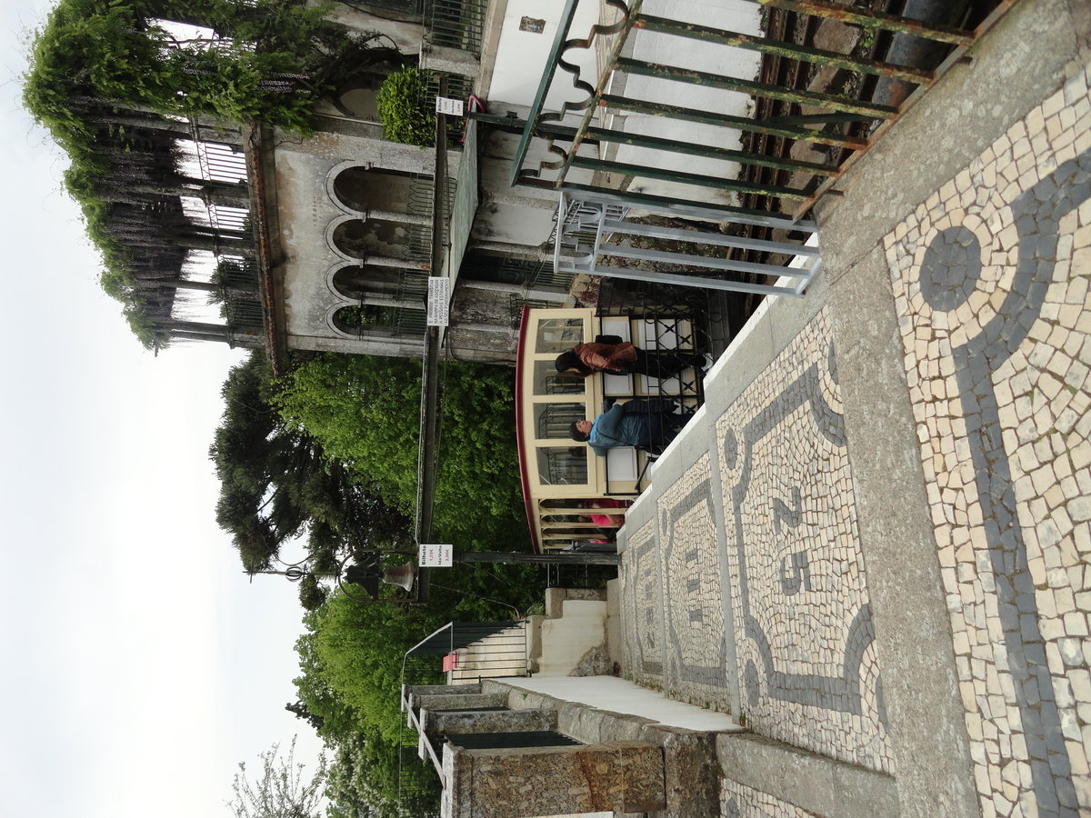 DSC00109.JPG