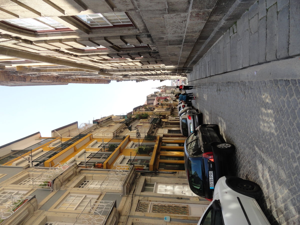 DSC00115.JPG