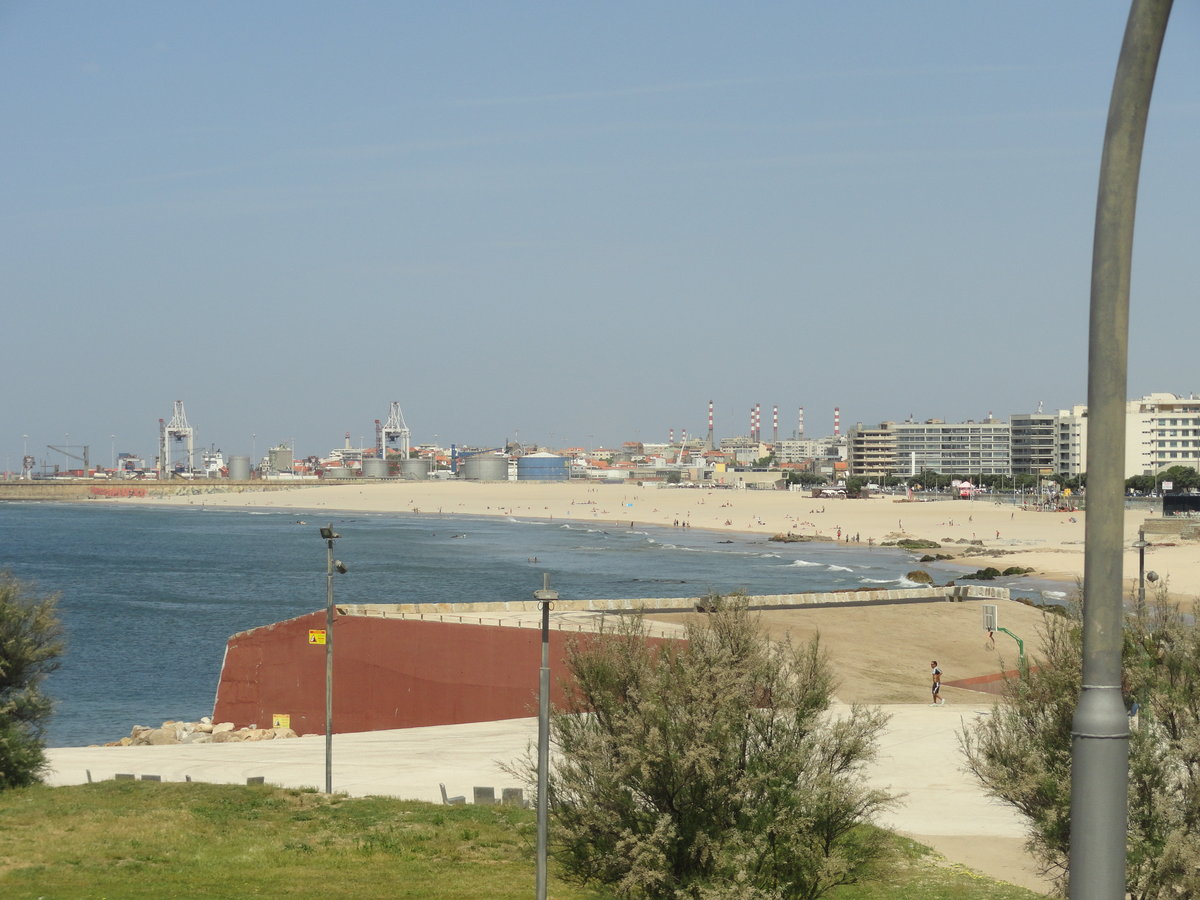 DSC00131.JPG