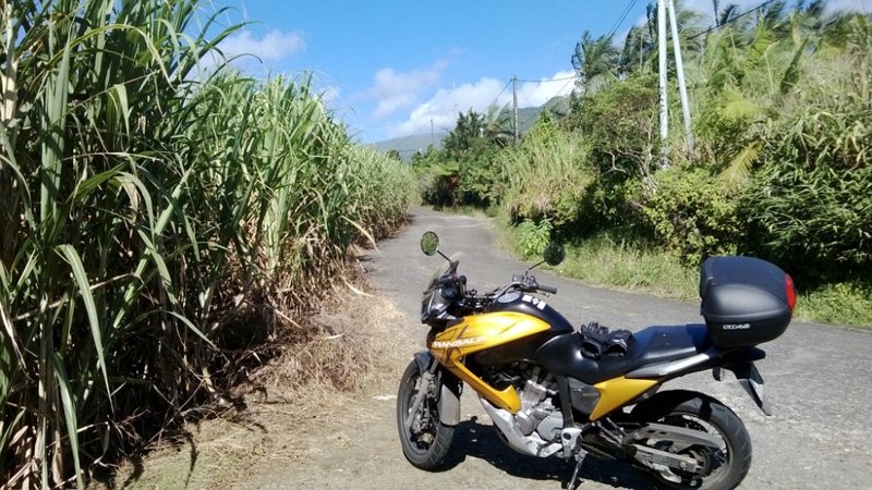 WP_20140503_004.jpg
