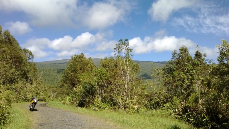 WP_20140503_015.jpg