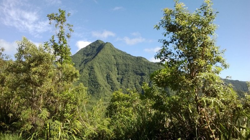 WP_20140503_014.jpg