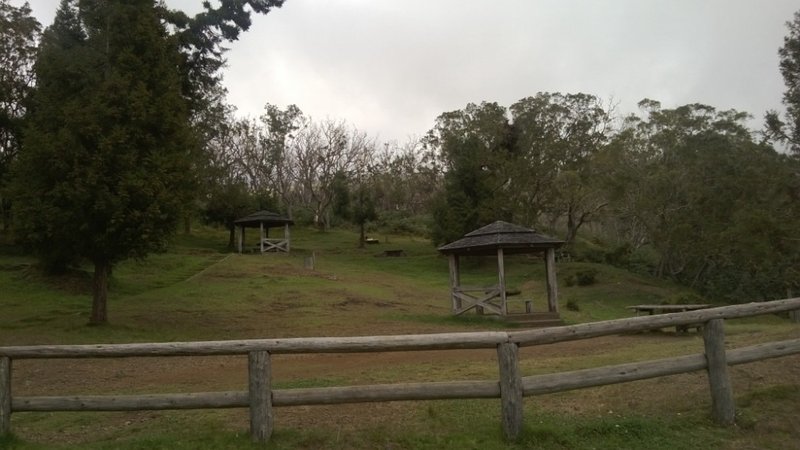 WP_20140503_061.jpg
