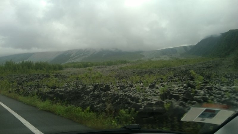 WP_20140509_001.jpg