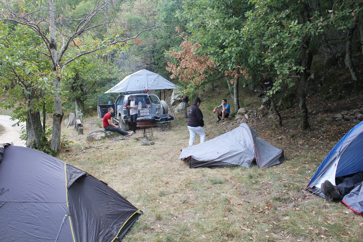 IMG_9667.JPG