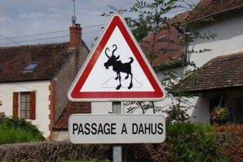 FB_20131207_22_09_50_Saved_Picture (1).jpg