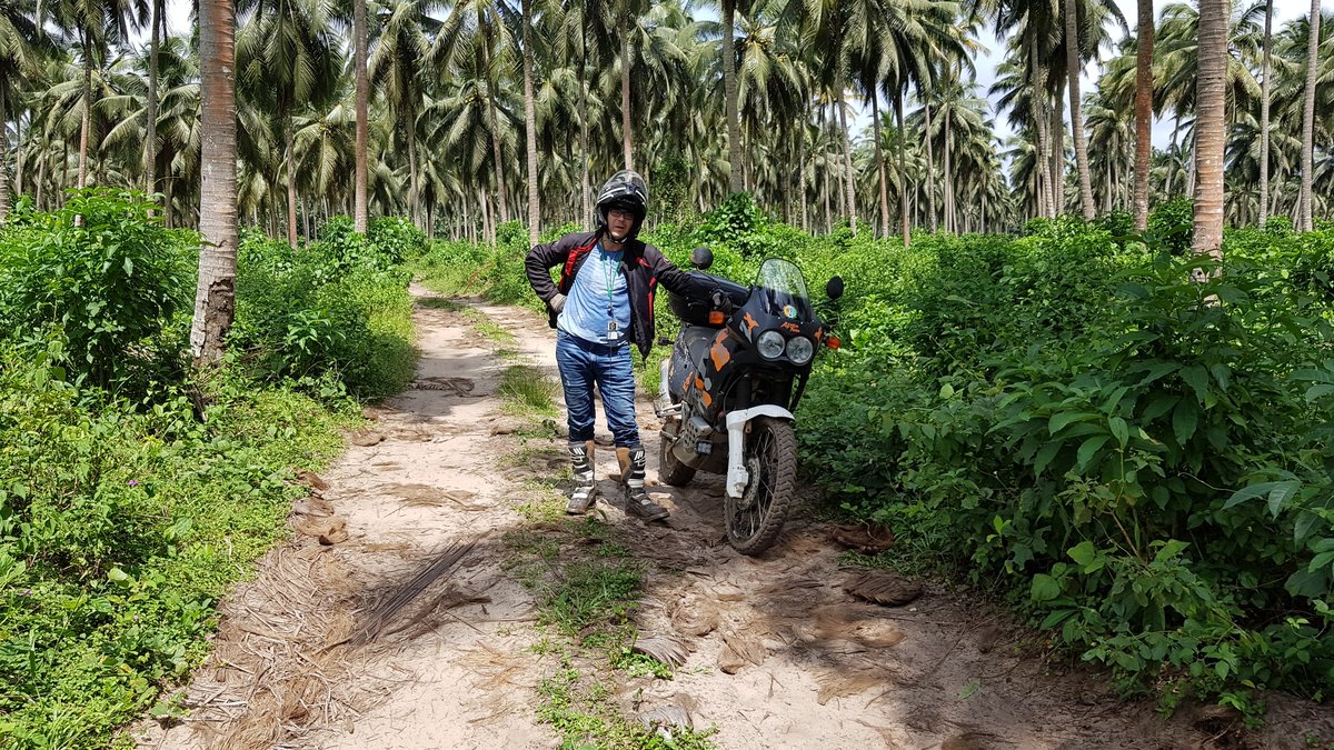 En pleine cocoteraie, Boundoukou, Assinie, Côte d'Ivoire