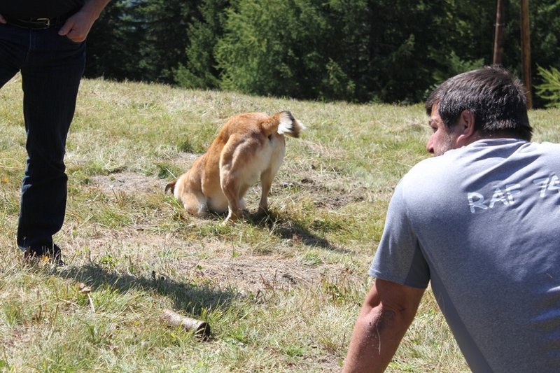 IMG_5994 (1000x667).jpg