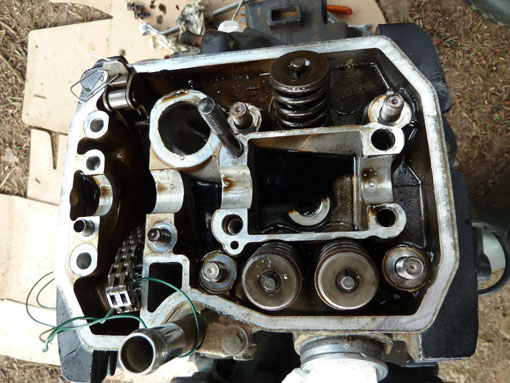 P1050152 - Copie.jpg