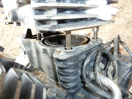 P1050153 - Copie.jpg