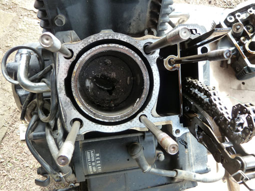 P1050155 - Copie.jpg