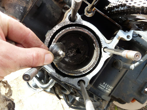 P1050157 - Copie.jpg