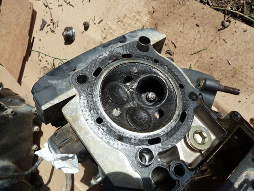 P1050159 - Copie.jpg