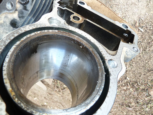 P1050164 - Copie.jpg