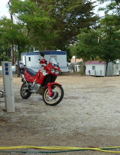 P1000314-1.jpg