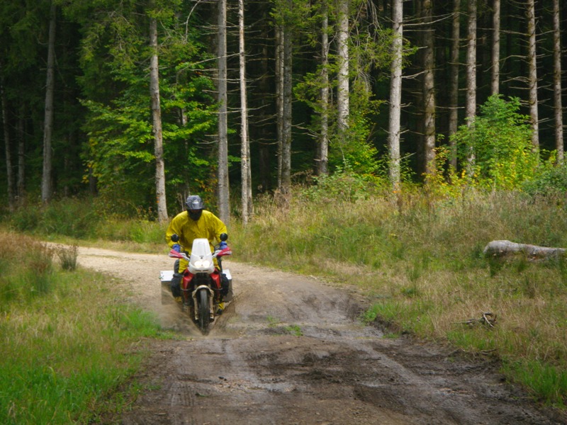IMGP3343.JPG
