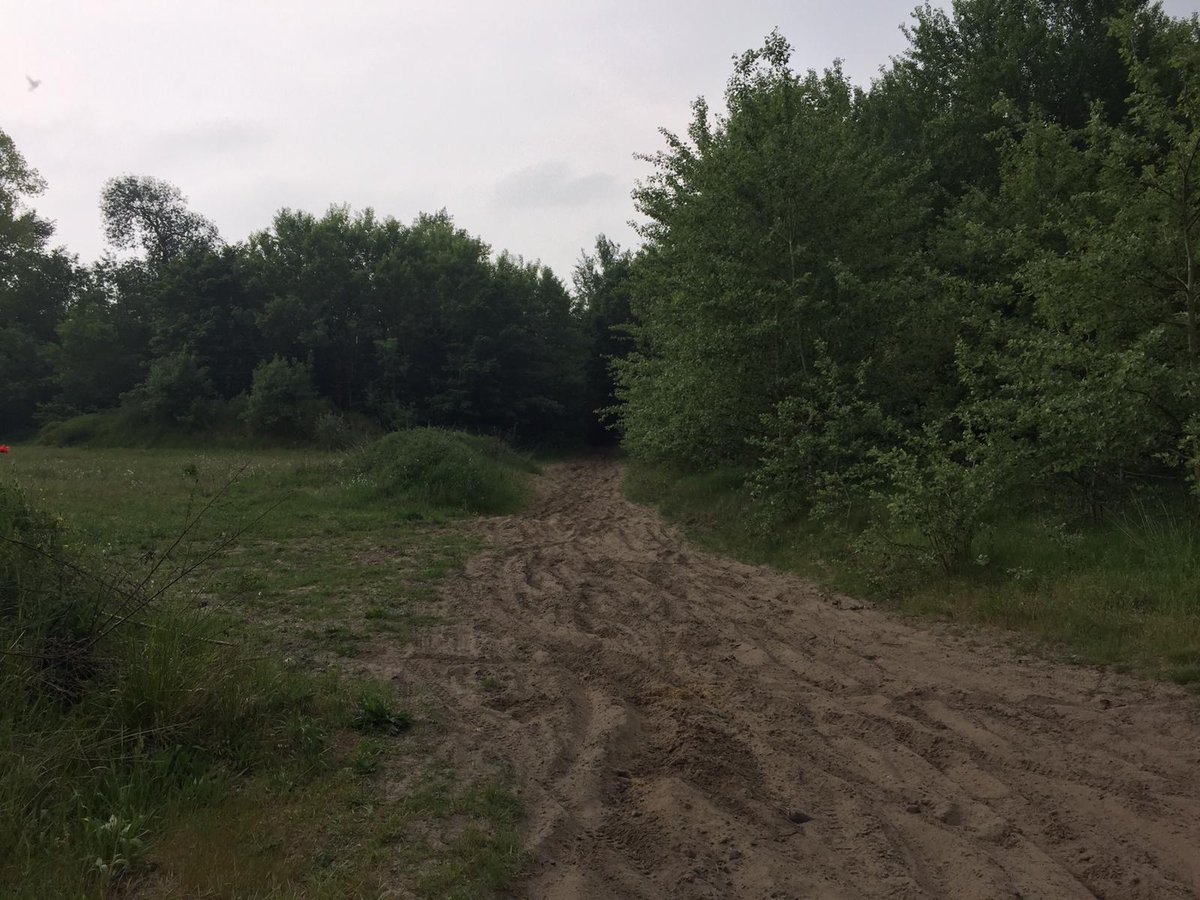 WhatsApp Image 2019-05-19 at 12.40.04.jpg