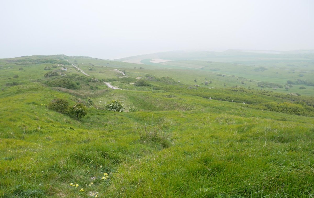 WhatsApp Image 2019-05-20 at 11.49.59.jpeg