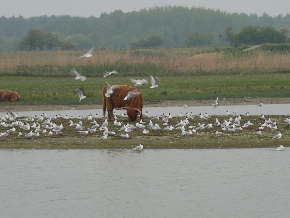 WhatsApp Image 2019-05-20 at 07.19.14.jpeg