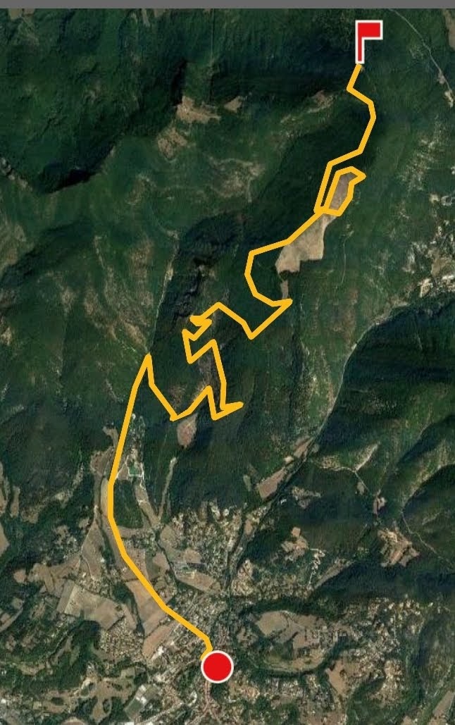 Screenshot_20190710-185631_Decat Coach.jpg