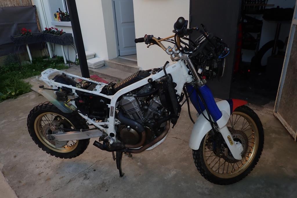 P2230060 - Copie.JPG