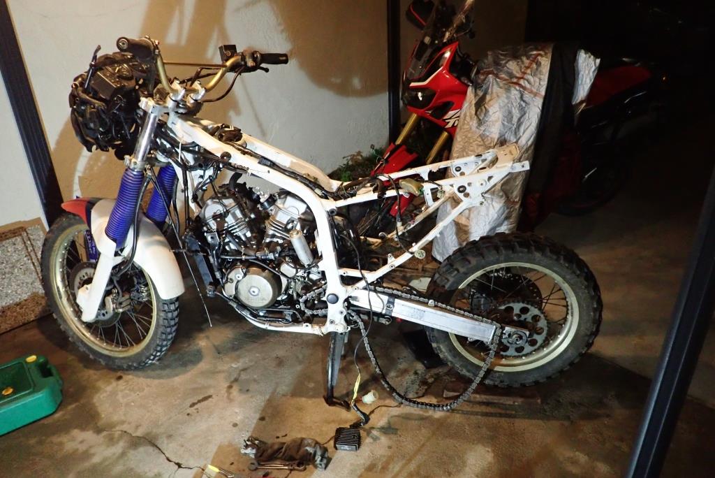 P2260048 - Copie.JPG