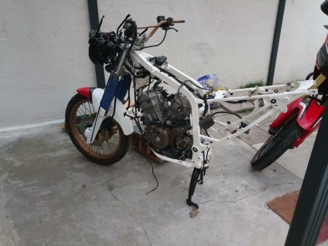 IMG_20200406_200652 (Petit).jpg