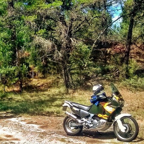 ma titine en balade dans le Luberon ^^