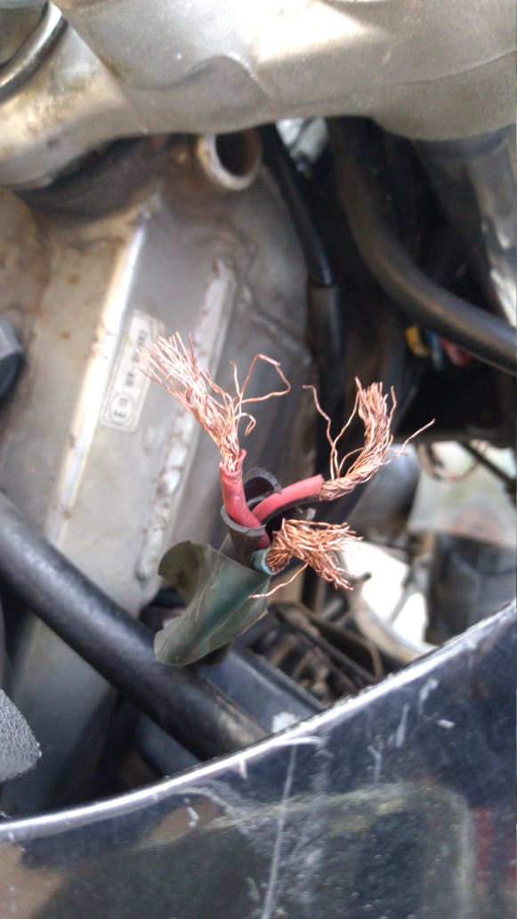 WhatsApp Image 2020-12-13 at 7.43.50 PM.jpeg