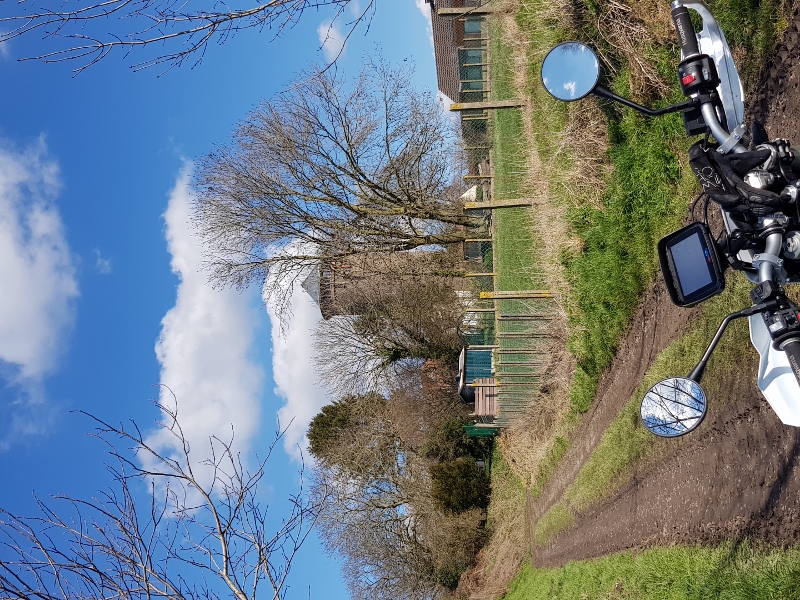 20210319_135554 (600x800).jpg