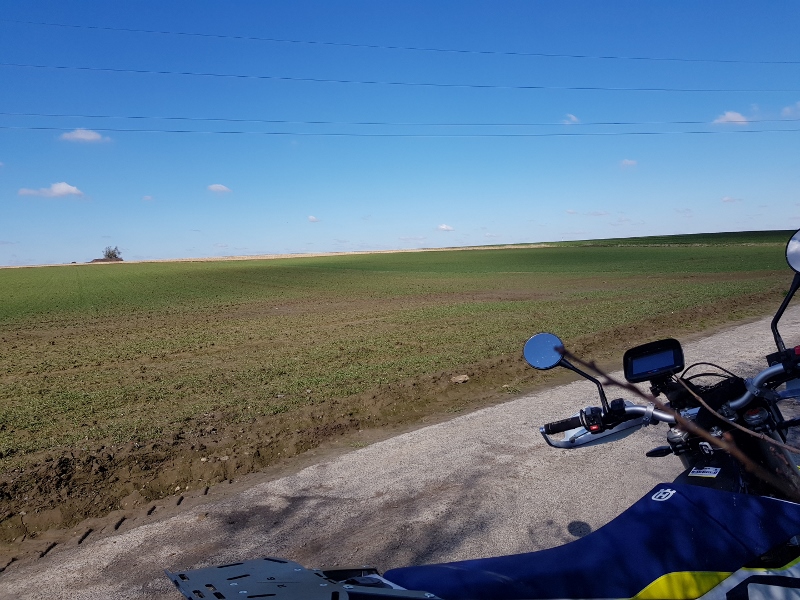 20210319_124833 (800x600).jpg