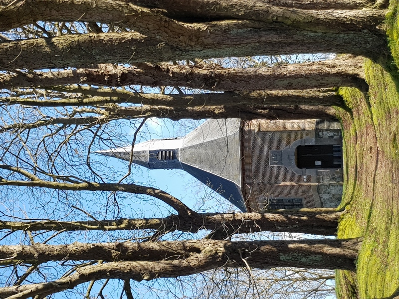 20210319_143851 (600x800).jpg