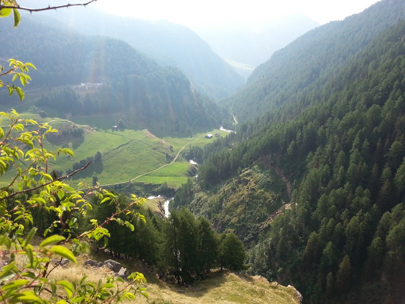 20150807_092440 (Copier).jpg