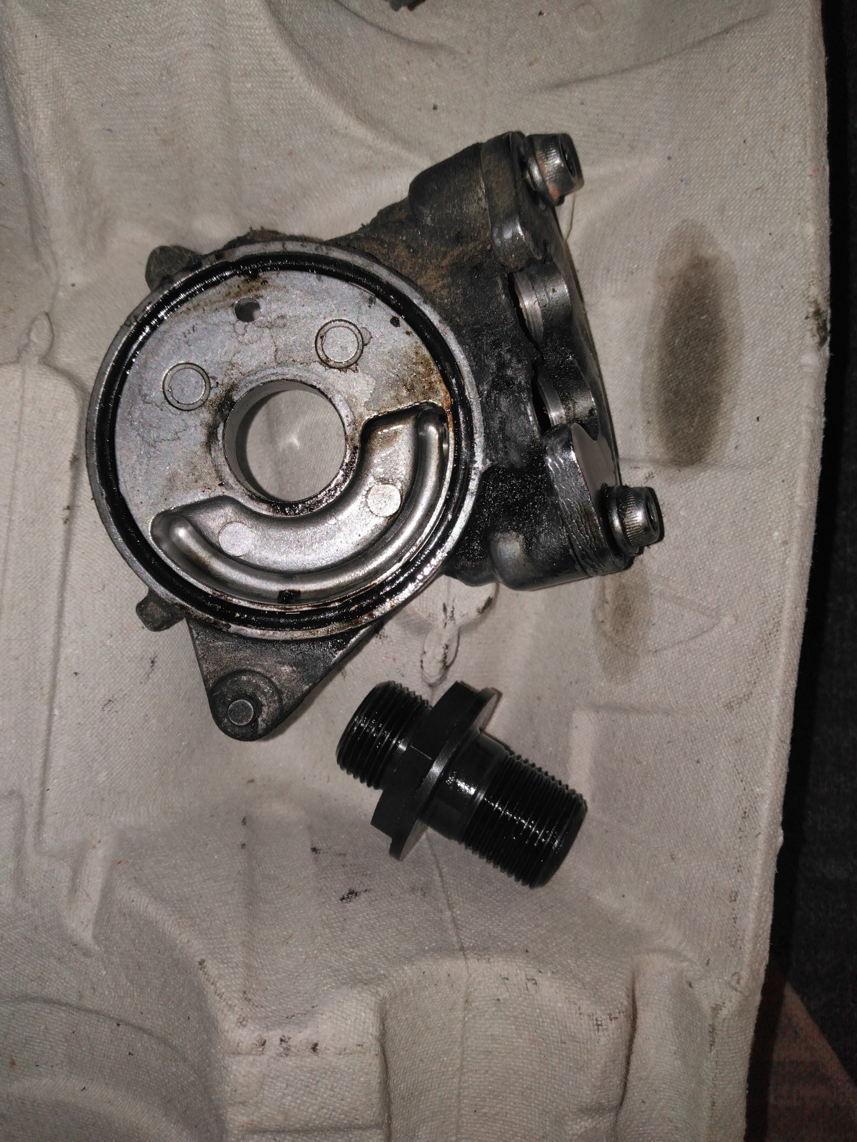 IMG_20250115_174227 (1).jpg