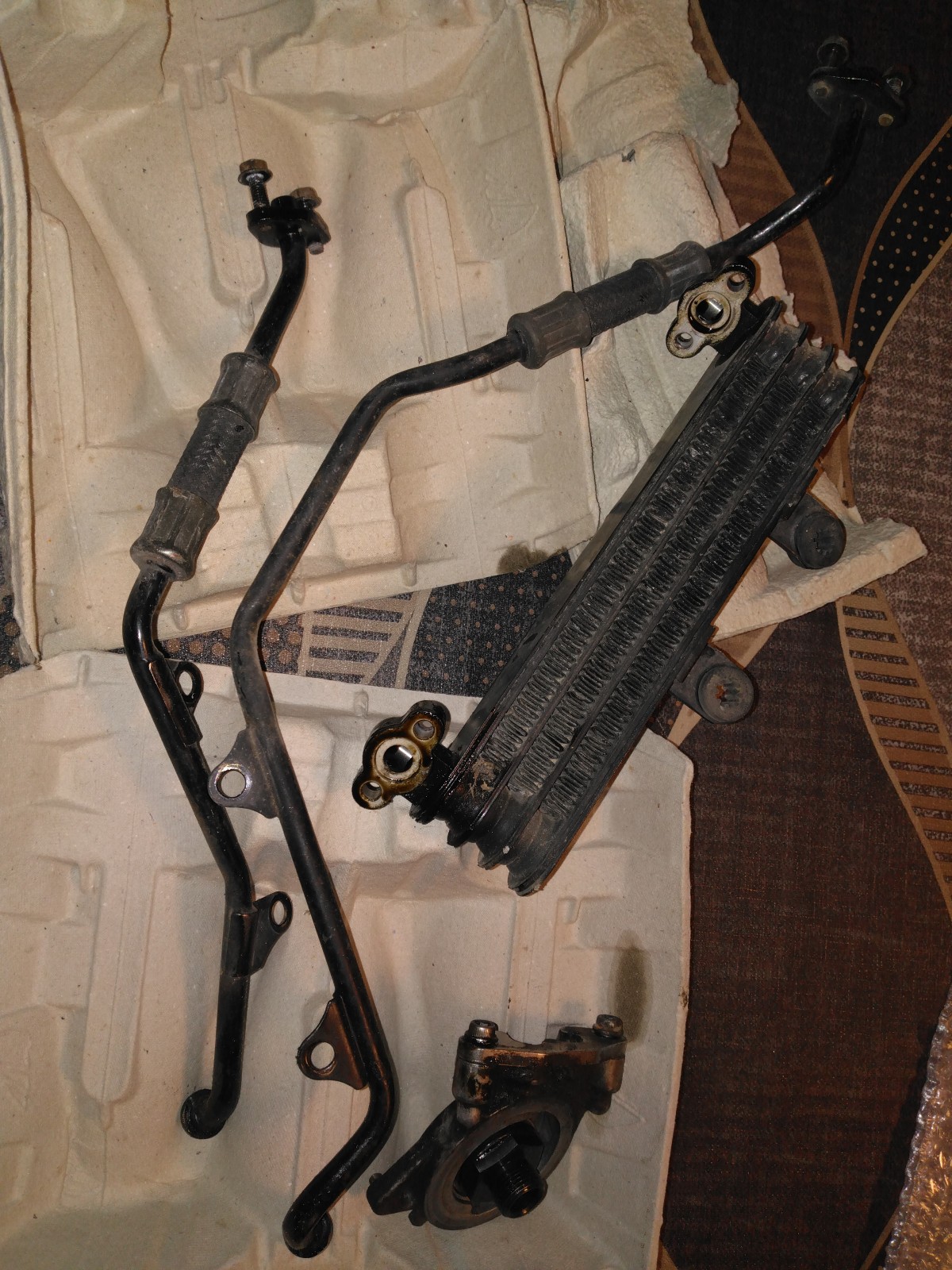 IMG_20250115_174117 (1).jpg