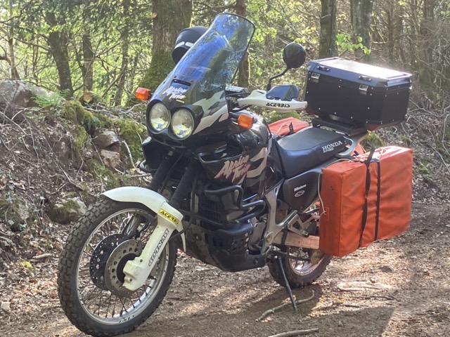 IMG_8958 Medium.jpeg