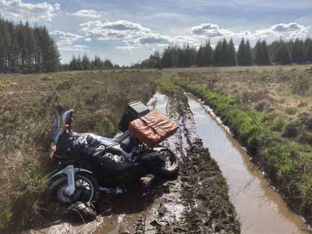 IMG_8972 Medium.jpeg