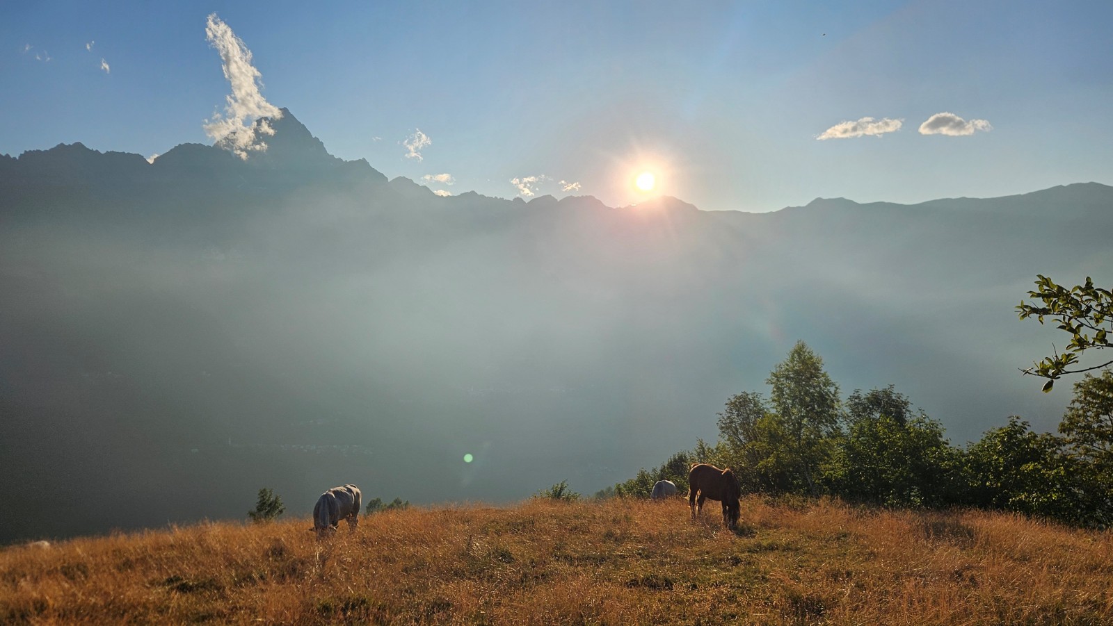 Coucher de soleil et chevaux.jpg