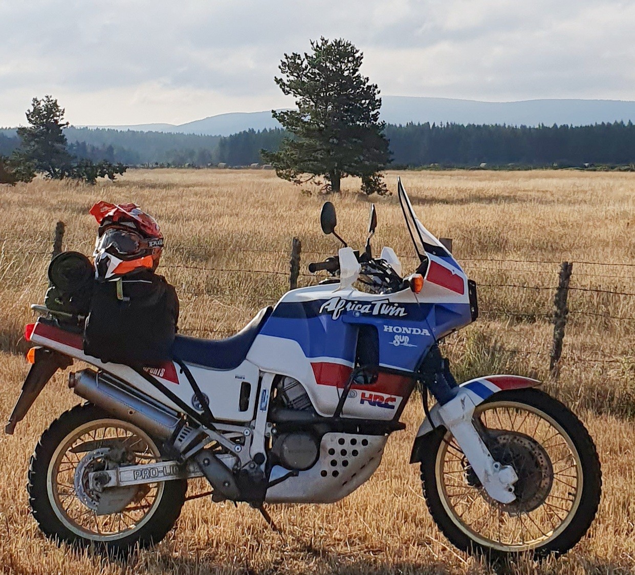 Sur le TET plateau Lozérois