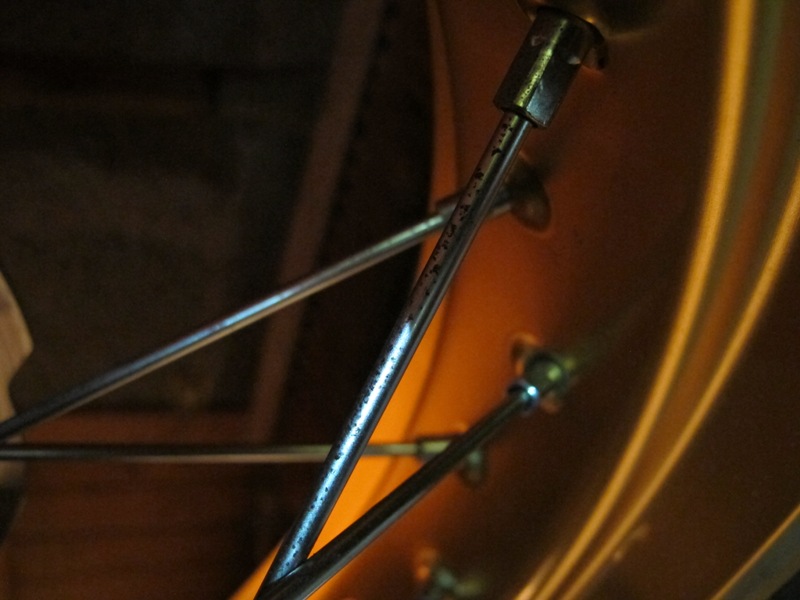 IMG_1608 WEB.JPG