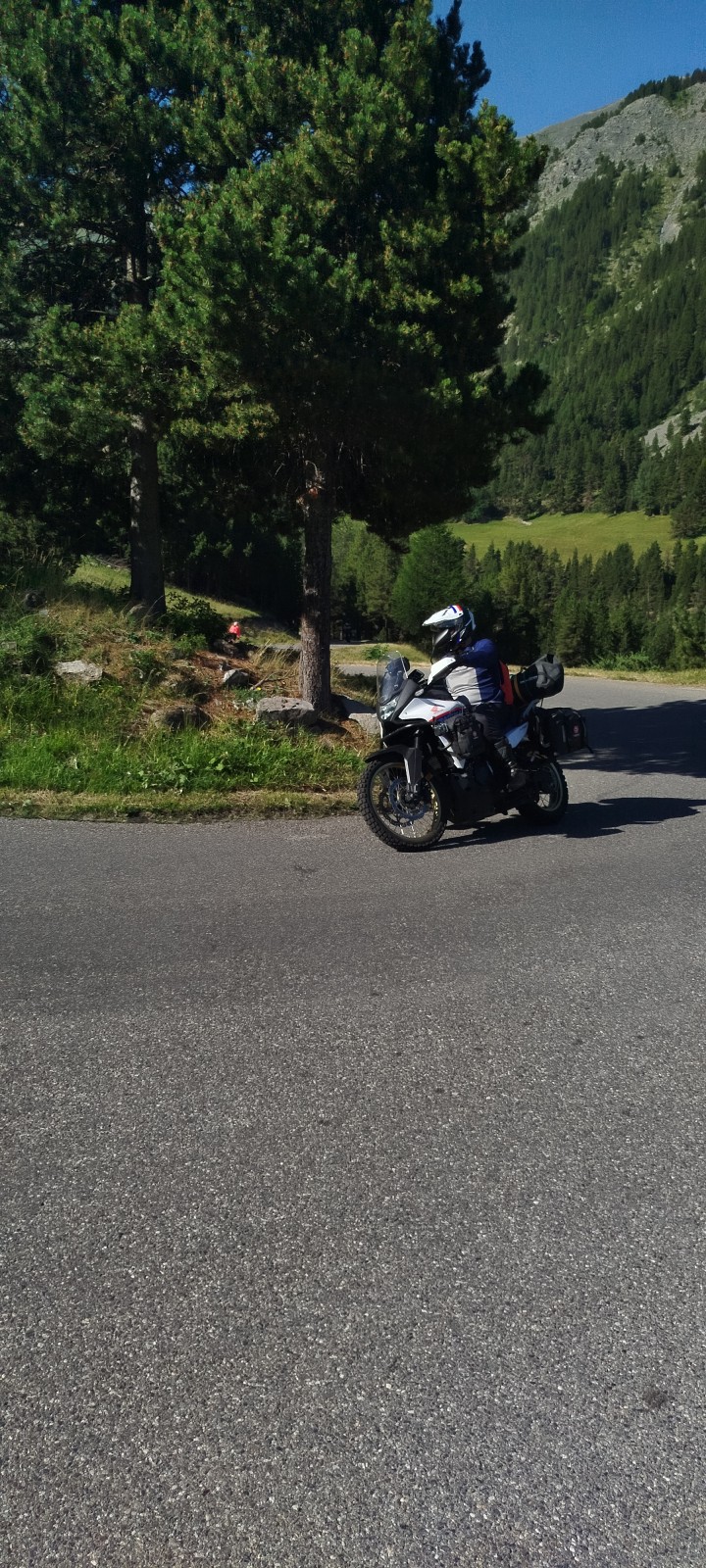 IMG_20260714_093417.jpg
