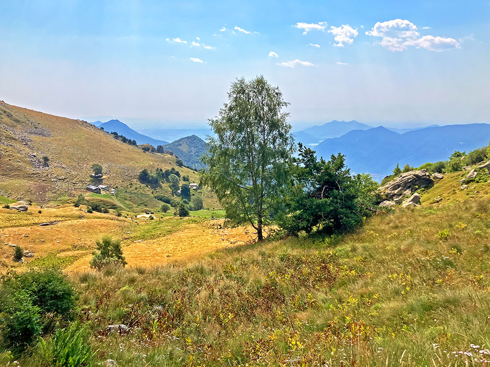 IMG_0962.jpg